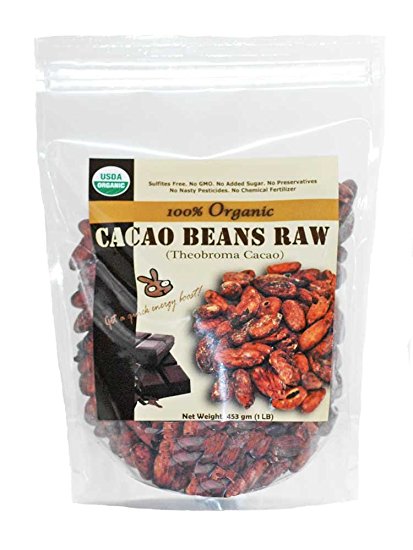 Indus Organic Raw Cacao Beans, Sulfite Free, No Added Sugar, Freshly Packed (Whole Beans, 16 Oz)