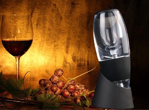 Vina® Portable Red Grape Wine Aerating Decanter w/ Stand and Travel Pouch
