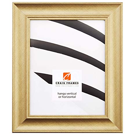 Craig Frames Vintage Revival, Brushed Gold Picture Frame, 24 x 36-inch