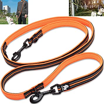 Creation Core Multi-fuctional Reflective Dog Leash with Snap Hook Adjustable Hands Free Walking Training Running Leash, Orange L