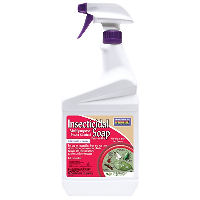 Bonide 652 Ready-to-Use Insect Soap, Quart