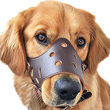 Pawliss Adjustable Anti-biting Dog Muzzle Leather