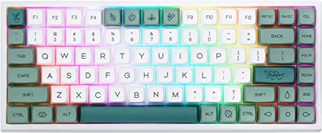 EPOMAKER EP84 Pro Upgraded 75% RGB Hot Swappable 2.4GHz/Bluetooth 5.0/USB-C Wired Mechanical Gaming Keyboard with Programmable Software, NKRO, Dye Sublimation PBT Keycaps for Mac/Win/Gamers(Flamingo)