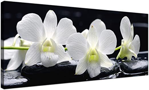 Wallfillers Large Black and White Canvas Prints of Orchid Flowers - Floral Wall Art - 1051
