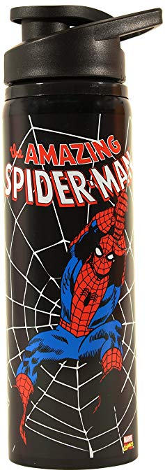 Silver Buffalo MC3289ST Marvel Spider-Man Swings Stainless Steel Water Bottle, 25-Ounces