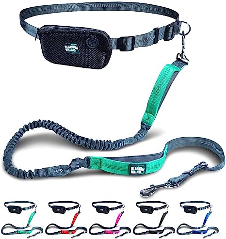 Black Rhino - Premium HANDS FREE DOG LEASH for Running Walking Jogging & Hiking - Adjustable Length Dual Handle Bungee Leash Medium – Large Dogs Neoprene Padded Handles - Running Pouch Included Aqua