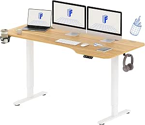 FLEXISPOT Scrivania Regolabile in Altezza, Scrivania Elettrica, Scrivania Regolabile Elettrica, Scrivania da Ufficio e Casa, Standing Desk (160x75cm,Acero)