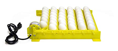 GQF HovaBator Automatic Egg Turner with 6 Universal Egg Racks - 1611 - Fits Chicken, Partridge, Duck, and More