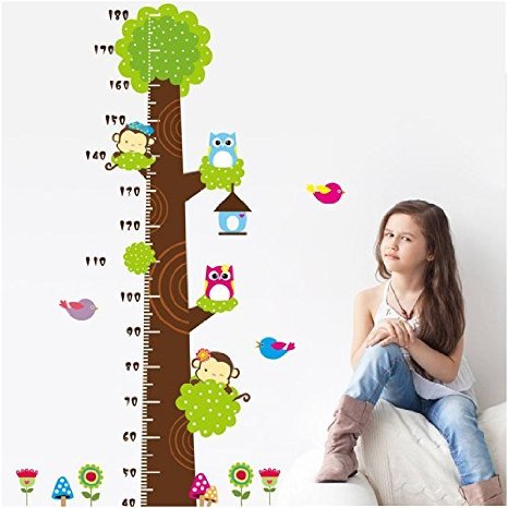Height Measurement Growth Chart Tree Cute Monkey and Owls Wall Vinly Decal Decor Sticker Removable Super for Nursery Playroom Girls and Boys Children's Bedroom