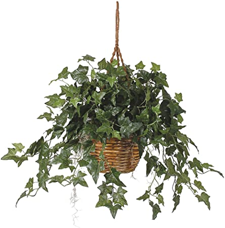 Nearly Natural English Ivy Basket Green 1 Artificial Hanging Plant, 36" x 36" x 26"