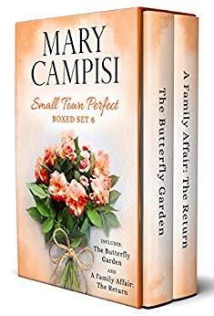 Small Town Perfect Boxed Set 6