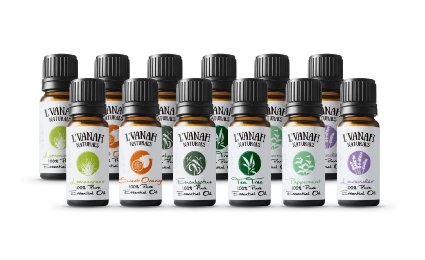 L'VANAH Naturals Aromatherapy Top Essential Oils 100% Pure & Therapeutic grade - Basic Sampler Gift Set & Premium Kit Lavender, Tea Tree, Eucalyptus, Lemongrass, Sweet Orange, And Peppermint (12 Pack)