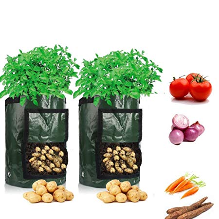 10 Gallon Potato Grow Bags, 2 Pack Durable Fabric Garden Planter Pots with Flap & Handle