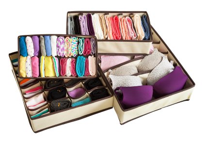 Adorn Insta-Shelf Set of 4 Closet Underwear Drawer Organizer  Drawer Divider