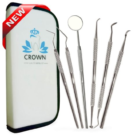 Professional Dental Hygiene Kit From Unident  Contains 6 German Surgical Grade Instruments Including Tarter Scraperscaling Tool Dental Picks Probes and Anti-fog Mouth Mirror Inside a Leather Case