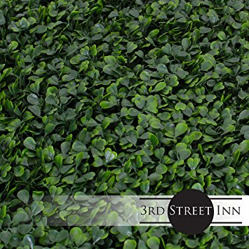 Artificial Hedge - Outdoor Artificial Plant - Great Boxwood and Ivy Substitute - Sound Diffuser Privacy Fence Hedge - Topiary Boxwood Greenery Panels (4, Boxwood)