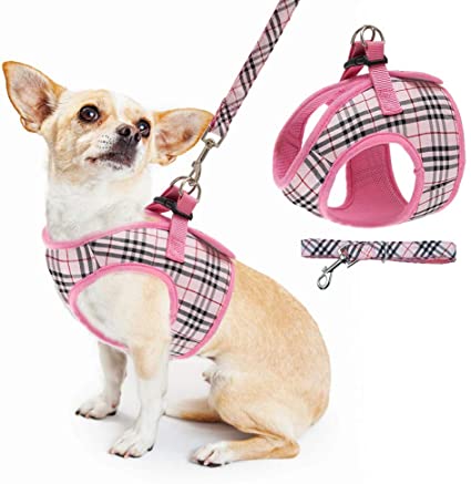Soft Mesh Small Dog Harness with Leash - Basic Plaid Padded Chest Vest for Kitties,Puppy,Small Pets
