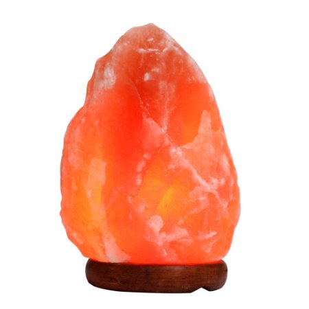 TGS Gems Himalayan Salt Lamp Ionic Air Purifier on Wood Base with Cord 7 Inch 4 lb