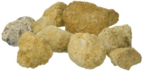 Crack Your Own Crystal Hollow Geodes - 10 Pack