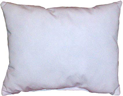 ReynosoHomeDecor 20x24 Pillow Insert Form