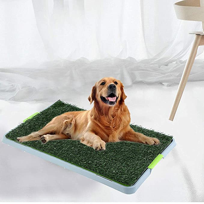 St@llion Dog Potty Grass Pad Puppy Pee Restroom Training Artificial Reusable Mat with Waste Tray Compact Hygienic for Indoor/Outdoor, Easy to Clean, Non-toxic