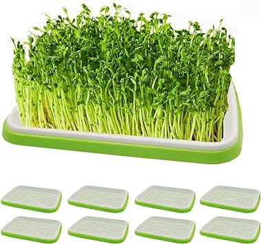 kathson 8 Pcs Seed Sprouter Tray with Drain Holes Soil-Free Microgreens Growing Trays Big Capacity Sprouts Growing Kit Plastic Seed Germination Tray Kit Bpa Free Nursery Tray