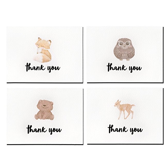 Cute Wildlife Letterpress Thank You Cards and Gray Self Seal Envelopes 36 Pack - Opie's Paper Company