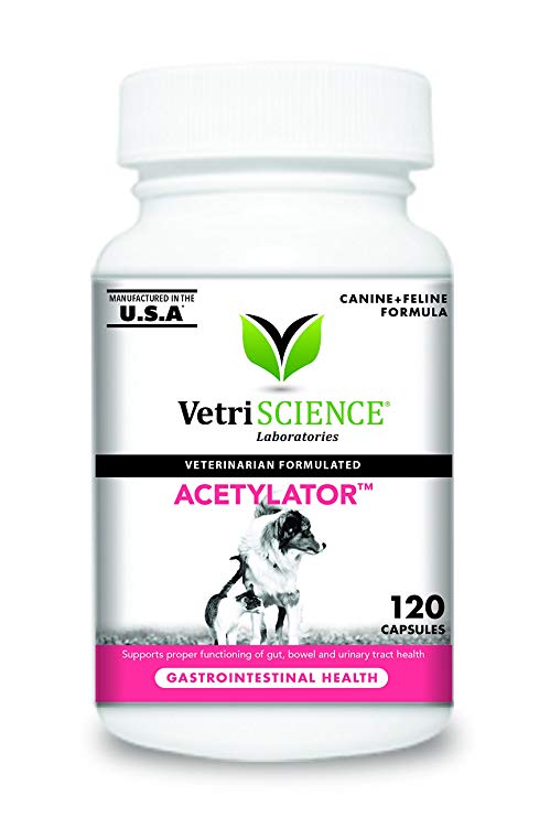 VetriScience Laboratories - Acetylator, Digestive Health Supplement for Cats and Dogs, 120 Capsules