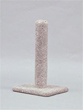 Classy Kitty Cat Carpet Scratching Post, Assorted Colors