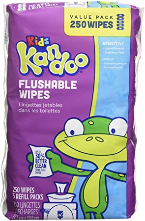 Flushable Wipes for Baby and Kids by Kandoo, Unscented for Sensitive Skin, Hypoallergenic Potty Training Wet Cleansing Cloths, 250 Count, Pack of 5