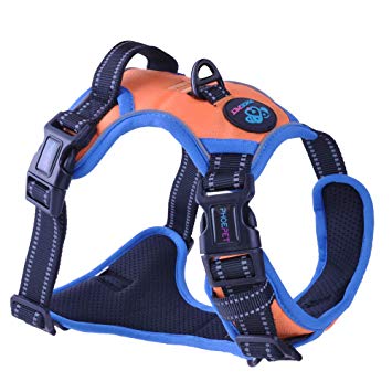 PHOEPET 2019 Upgraded No Pull Dog Harness, Unique Colors Reflective Adjustable Vest, with a Training Handle   2 Metal Leash Hooks  3 Snap Buckles  4 Slide Buckles [Easy to Put on & Take Off]