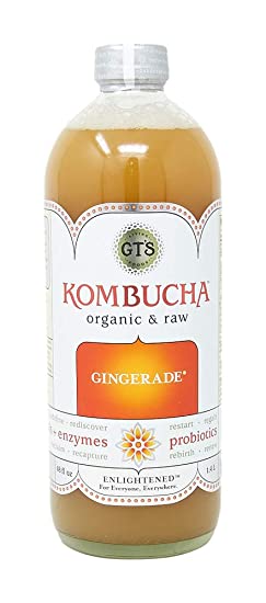 GTs Enlightened Synergy Organic and Raw Kombucha, Gingerade, 48 oz