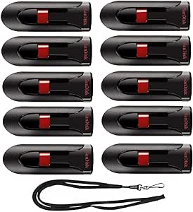 SanDisk 32GB (10 Pack) Cruzer Glide USB 2.0 Flash Drive SDCZ60-032G-B35 Bundle with (5) GoRAM Black Lanyards (32GB, 10 Pack)