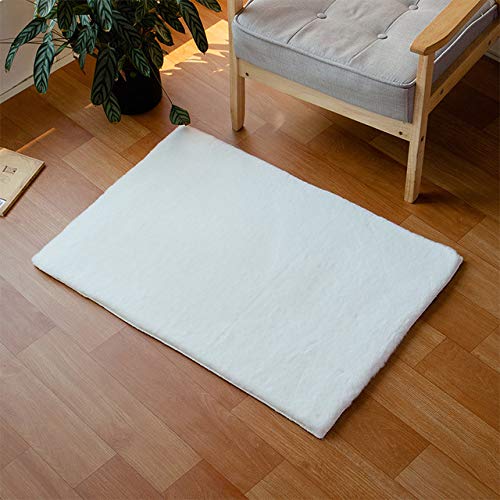 Alansma Area Rug Luxury Faux Fur Rabbit Carpet Soft Floor Mats for Living Room Bedroom(White,2ft x 3ft Rectangle)