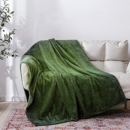 NEWCOSPLAY Luxury Super Soft Throw Blanket Premium Flannel Fleece Leaves Pattern Throw Warm Lightweight Blanket Wrinkle-Resistant and Breathable All Season Use (Gradient-Green, Throw(50"x60"))