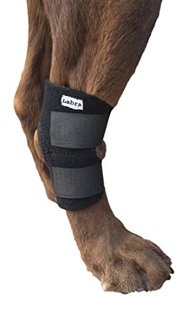 Dog Canine Rear Leg Hock Joint Wrap Protects Wounds as they Heal Compression Brace Heals and Prevents Injuries and Sprains Helps with Loss of Stability caused by Arthritis