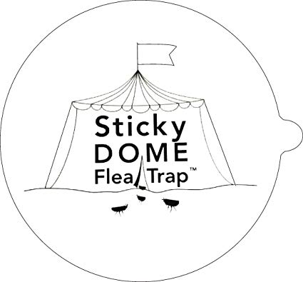 Seicosy (TM) Plug-in Odorless Flea Trap Glue Discs Sticker Refill(6 pack)