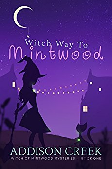 Witch Way to Mintwood (Witch of Mintwood Book 1)