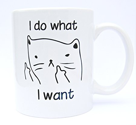 Funny I do what I want cat coffee mug by Brooks and Co. 12 ounce ceramic great gift