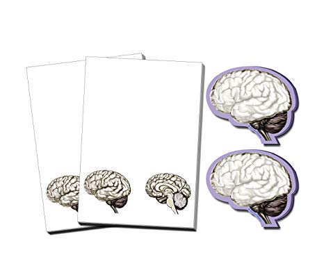 Brain (Brain Note Pad and Sticky note)