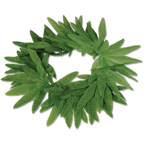Tropical Fern Leaf Headband Party Accessory (1 count)