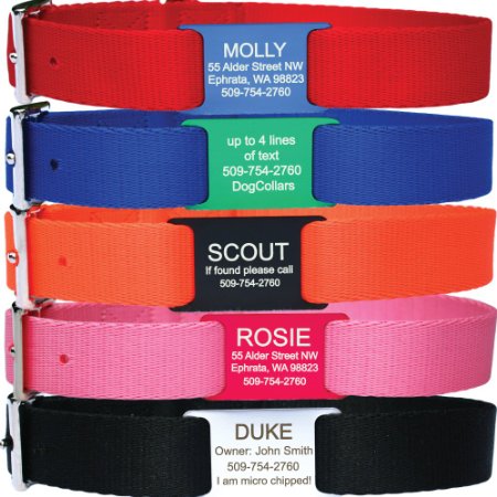 Custom Engraved Slide-on Pet Id Tag Comes with a Tough Nylon Dog Collar Available in Assorted Colors and Sizes