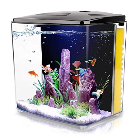 FREESEA 1.4 Gallon Betta Aquarium Fish Tank Starter Kits with LED Light and Filter Pump