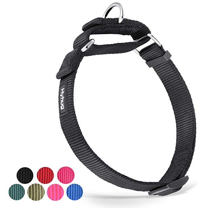 Hyhug Pets Premium Upgraded Heavy Duty Nylon Anti-Escape Martingale Dog Collar for Large Medium Small Boy and Girl Dogs Comfy and Safe - Walking, Professional Training, Daily Use.