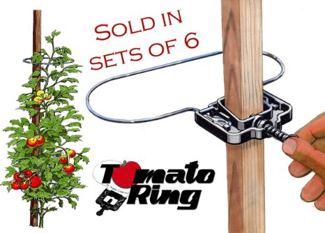 A 6 Pack Tomato Ring For $21.00,Tomato Cage, Plant support,Tomato Support.