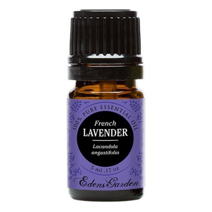 French Lavender 100% Pure Therapeutic Grade Essential Oil by Edens Garden- 5 ml