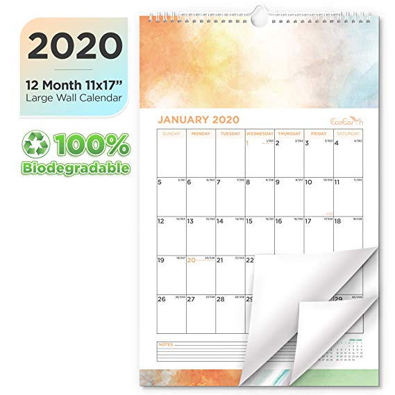 EcoEarth Biodegradable 11x17 Inch Vertical Hanging Wall Calendar, 2020 Calendar Year Monthly Calendar, Creative Art Design