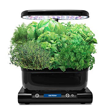 AeroGarden Harvest (Classic) with Gourmet Herb Seed Pod Kit, Black