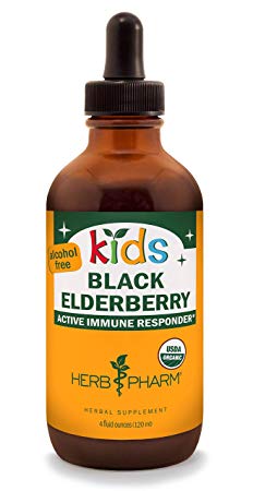 Herb Pharm Kids Certified-Organic Alcohol-Free Black Elderberry Glycerite Liquid Extract, 4 Ounce