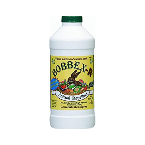 Bobbex B550120 Concentrate Animal Repellent, 32-Ounce